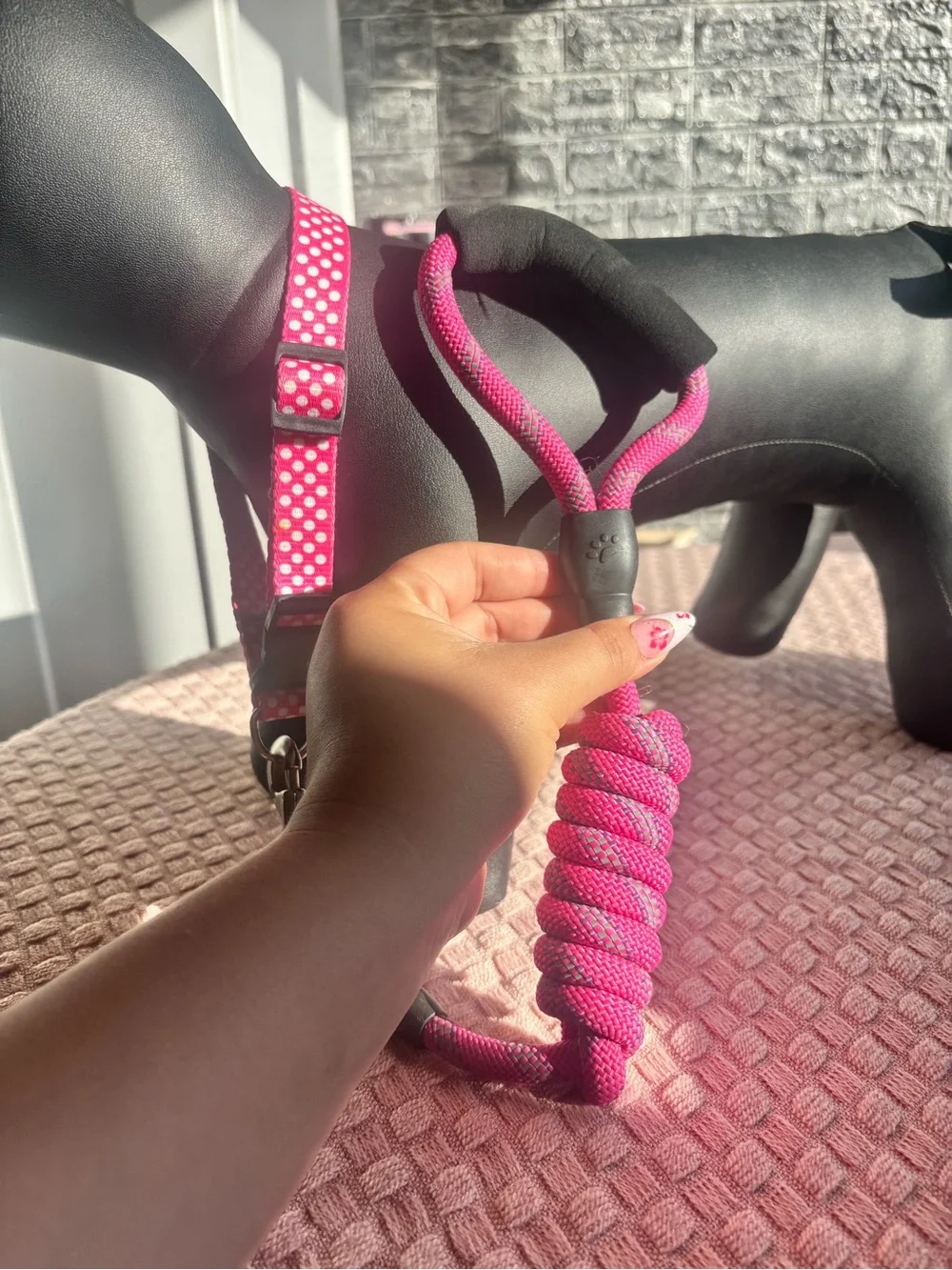 Pink Polka Dot Adjustable Dog Collar! MEDIUM TO LARGE SUPER CUTE 😍🎀💖🐾